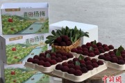 生辰八字高速赋能产业升级：一条“杨梅路”的致富密码