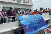 生辰八字浙江今年计划放流种类海洋水生生物苗种超15亿单位