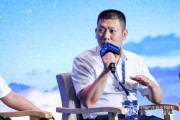 生辰八字蜂巢汽车武红超预测：未来五年中国新能源车渗透率将突破70%